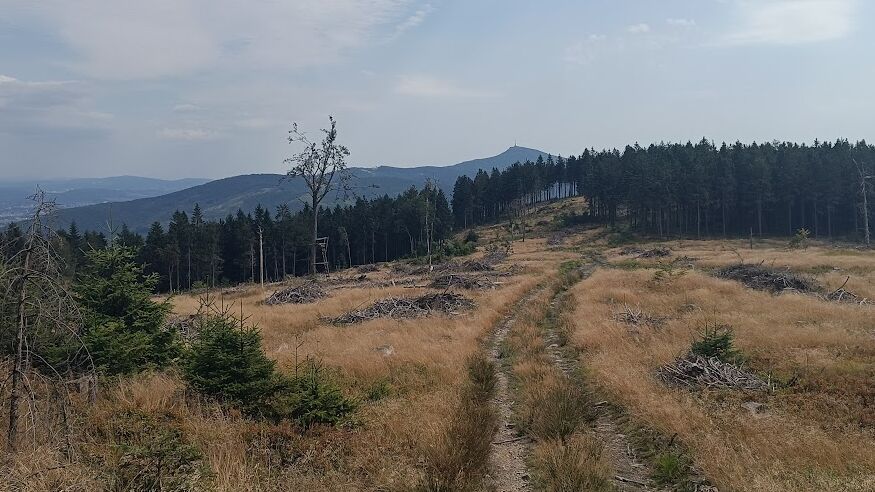 Ještědsko - kozákovský hřbet (2024)