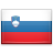 Słoweński flag