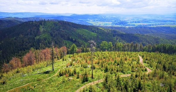 Hrebeňovka - Broumovsko