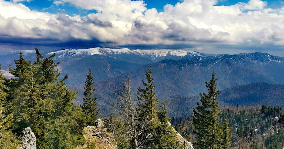 Slovenská osem písmenová slovná hra