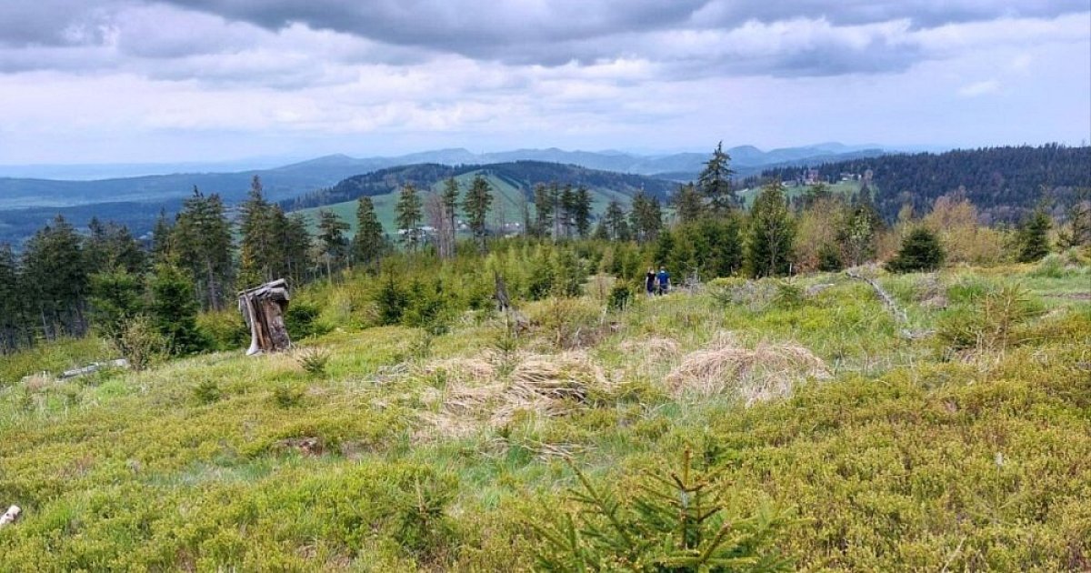 Hřebenovka Sovie hory - Bardzkie hory (PL)