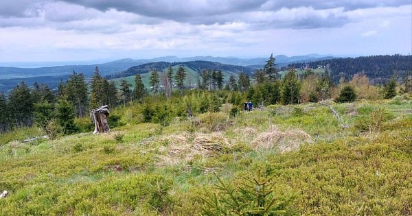 Hřebenovka Sovie hory - Bardzkie hory (PL)