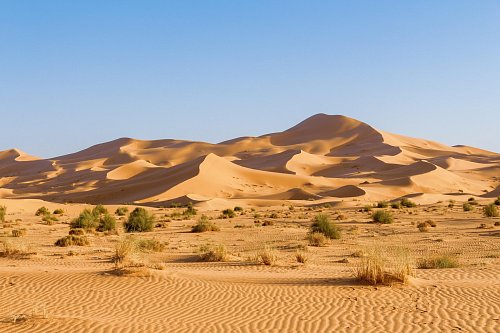 Západná Sahara