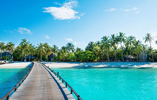Maldivy