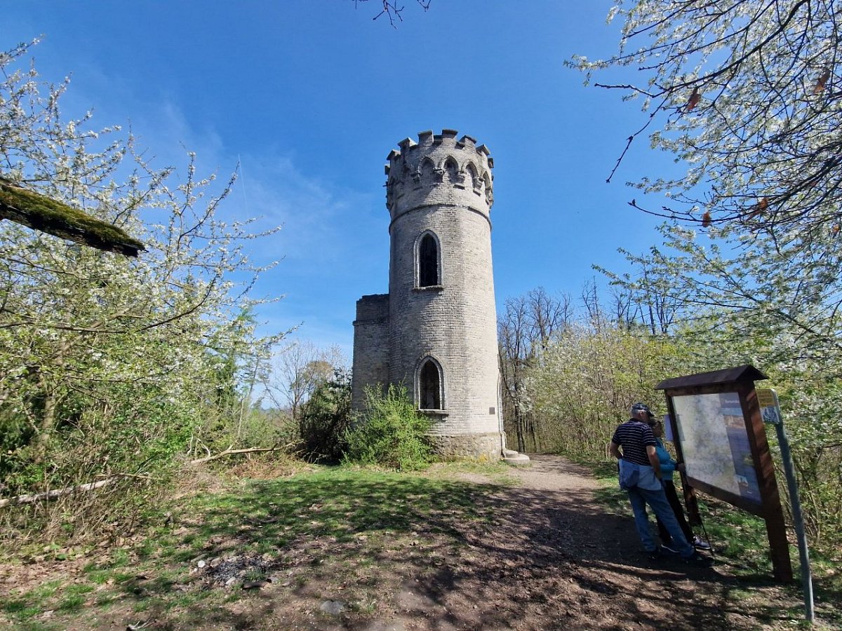 Děd (493&nbsp;m)