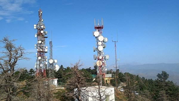 Reales