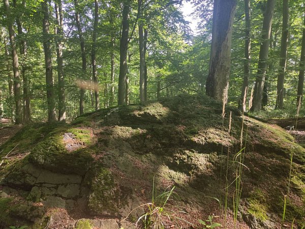 Lounický kopec