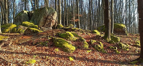 Buzrakov