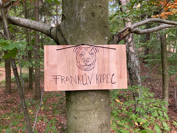 Frankův kopec