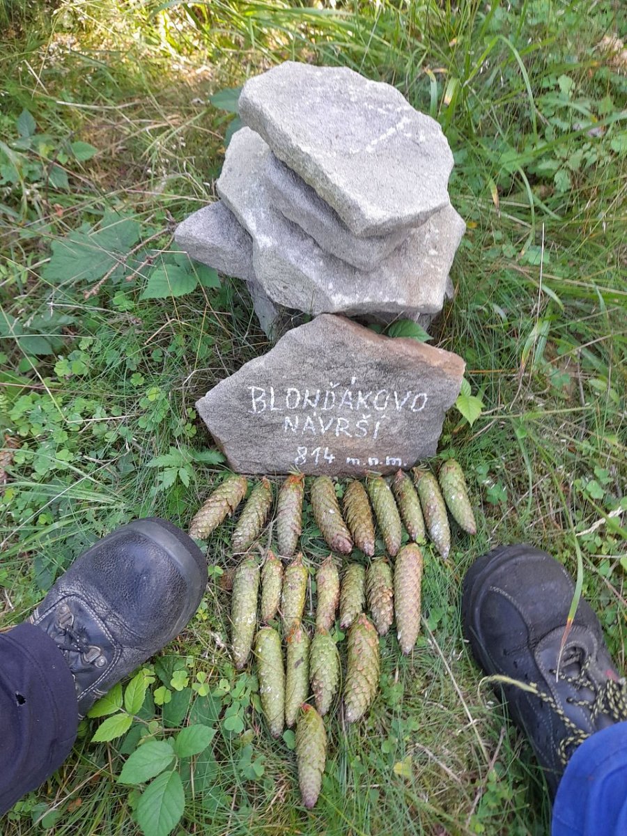 Blonďákovo návrší (814&nbsp;m)