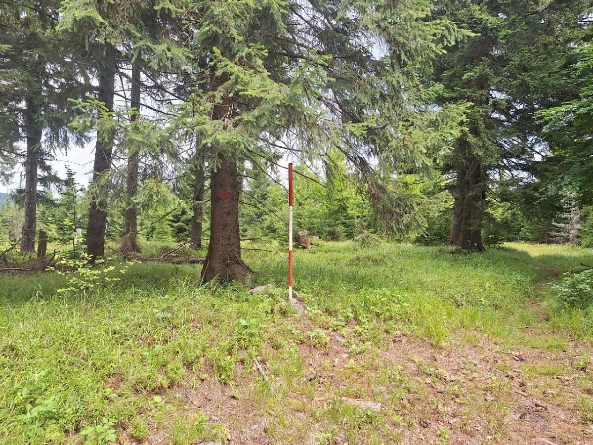 Sviní hora (1074&nbsp;m)