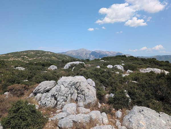 Koufopodi