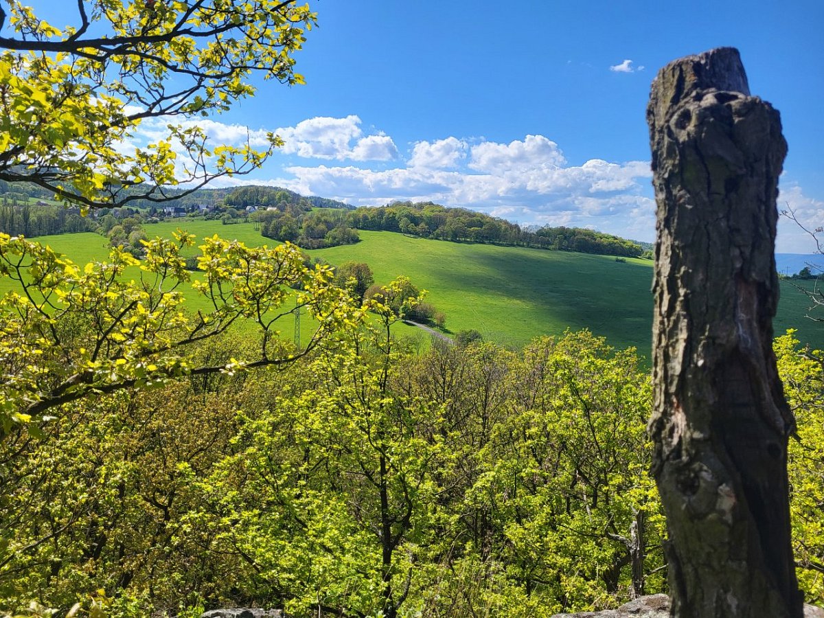 Homole (486&nbsp;m)