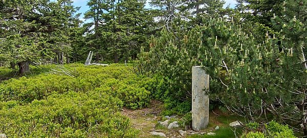 Malý Sněžník / Mały Śnieżnik
