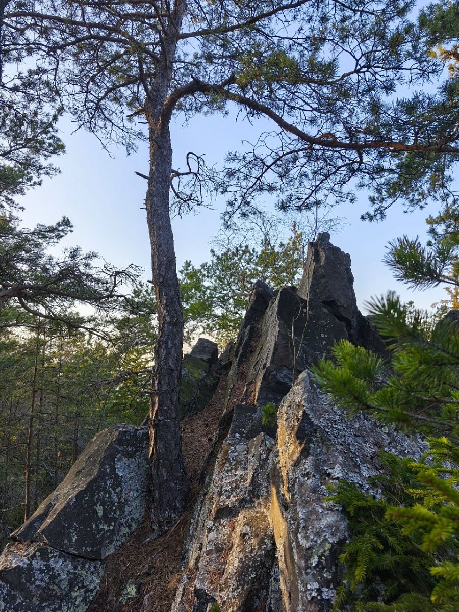 Amálka (665&nbsp;m)