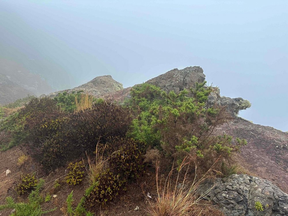 Pico das Roçadas