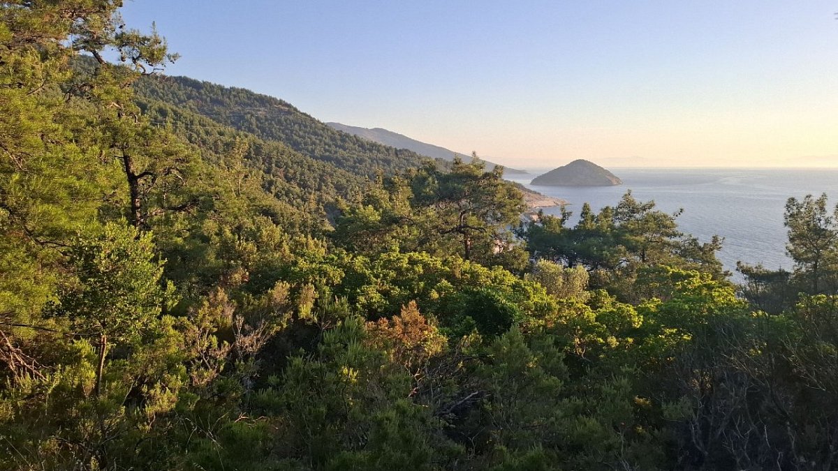 Μπάμπουρας (223&nbsp;m)