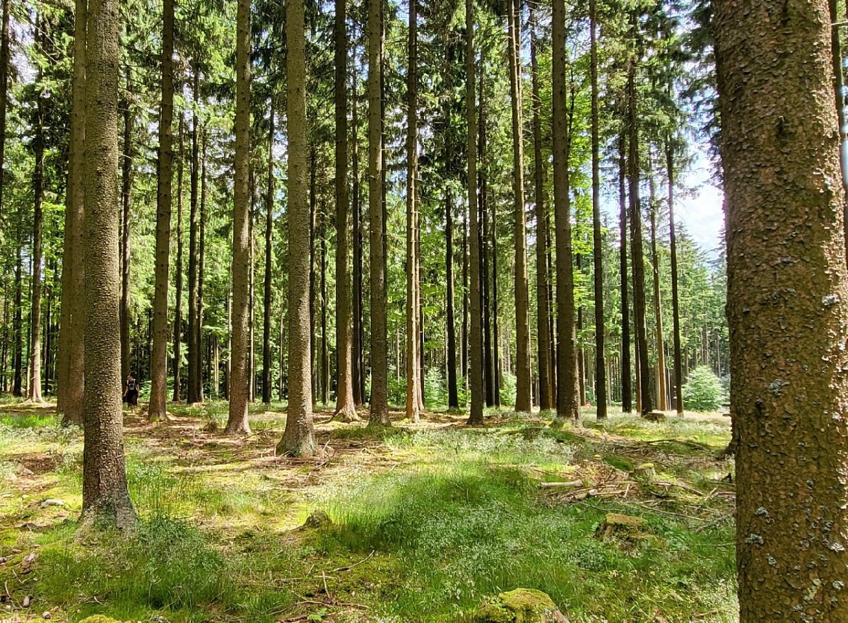 U Pískovny (1007&nbsp;m)