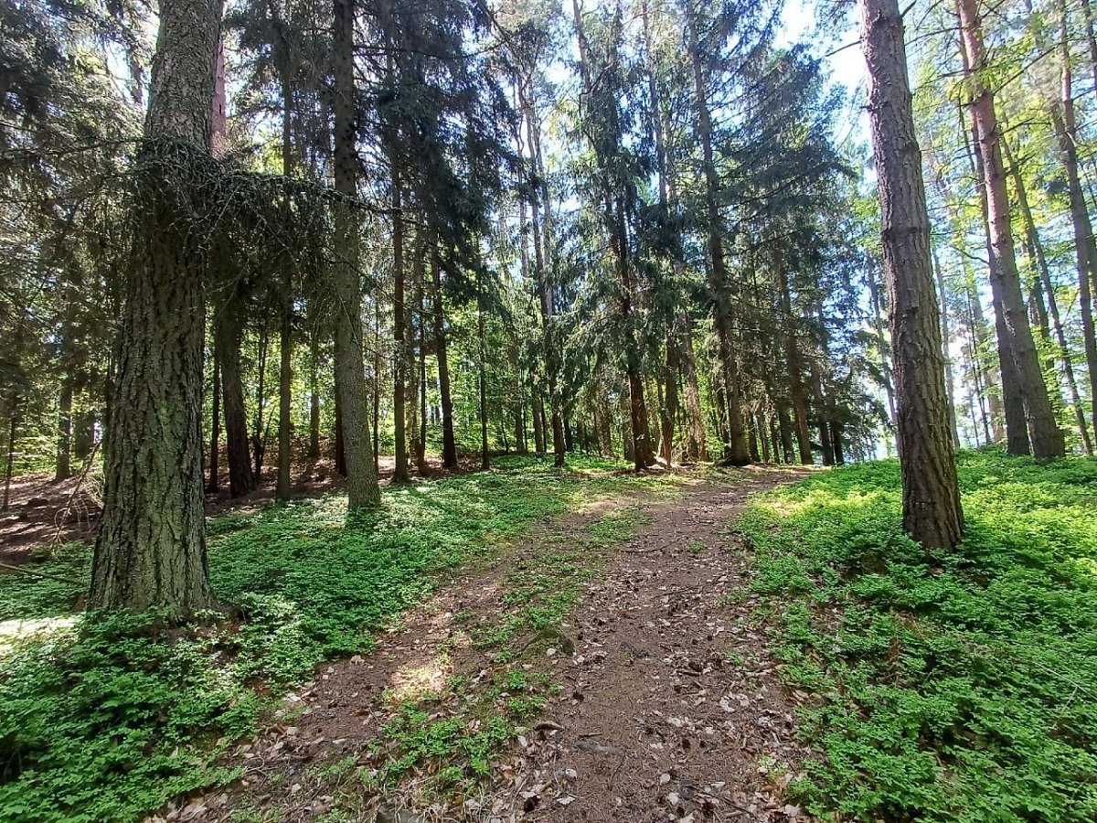 Žabička (372&nbsp;m)