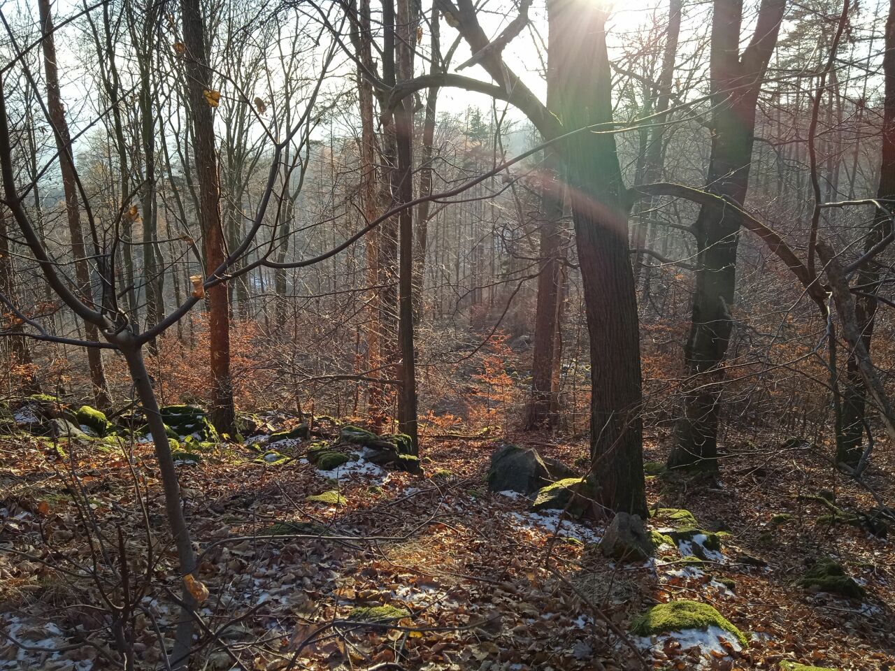 Hrad (667&nbsp;m)