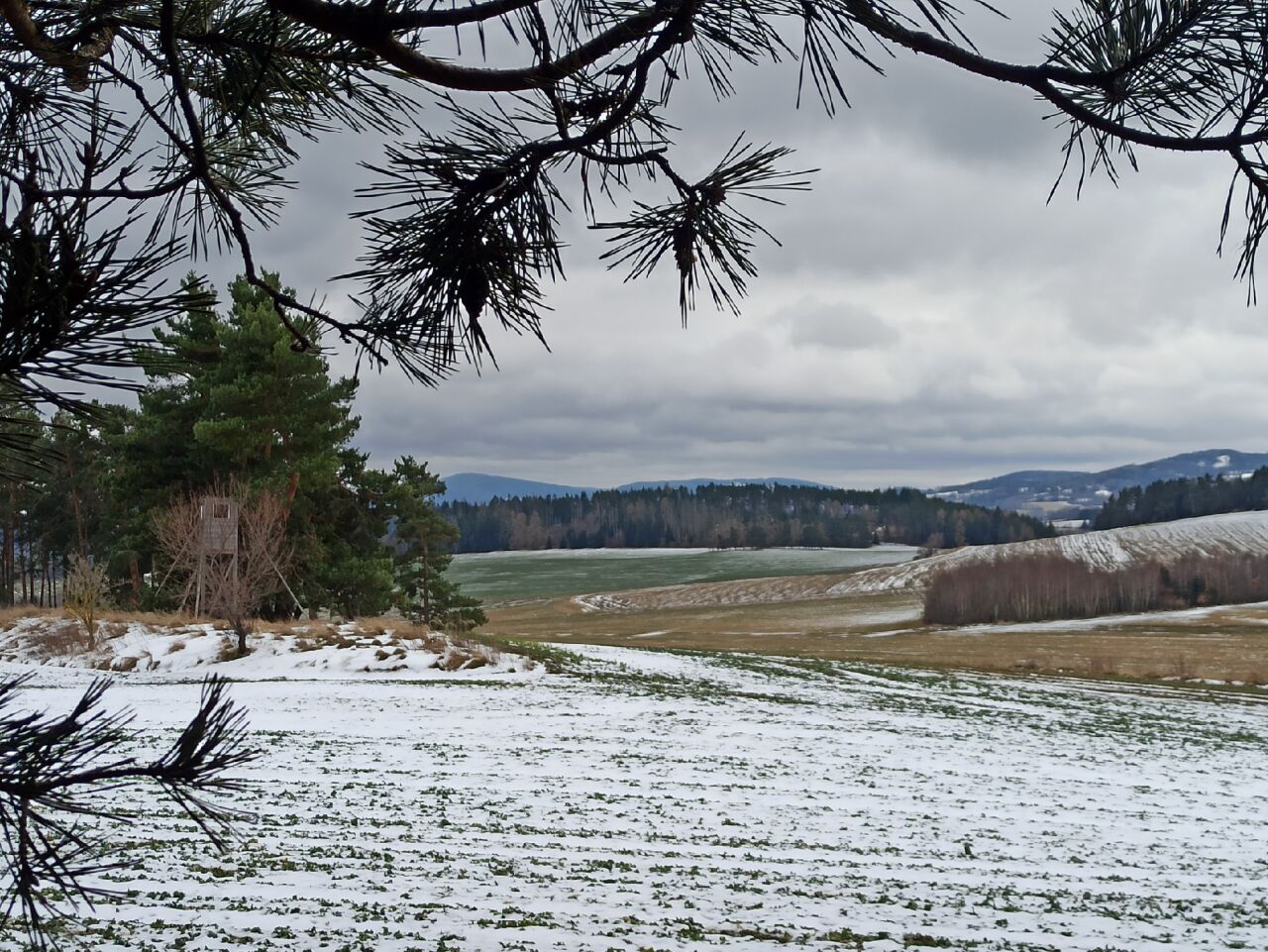Boreček (600&nbsp;m)