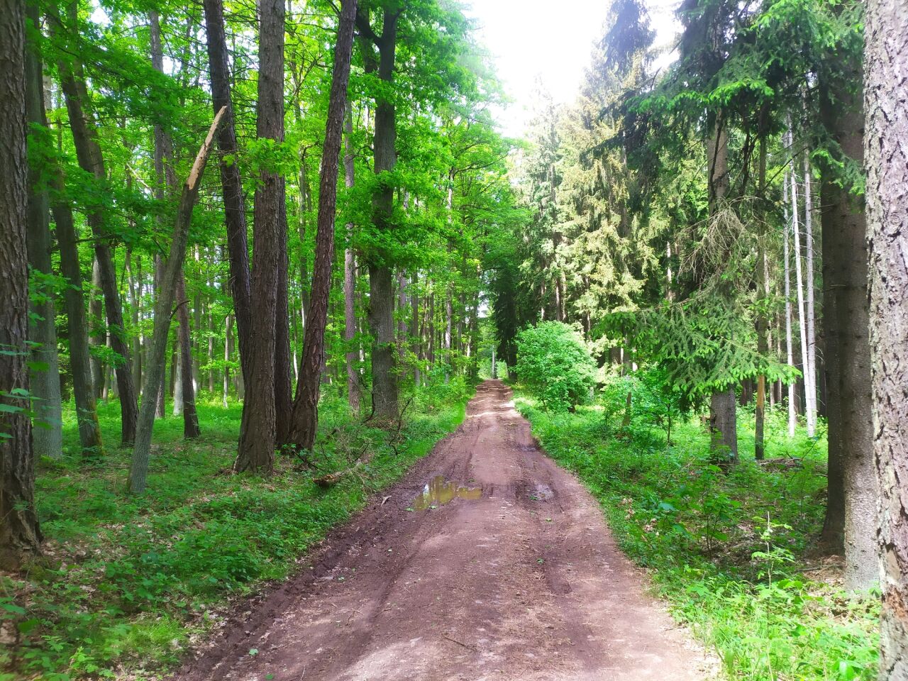 Horka (511&nbsp;m)